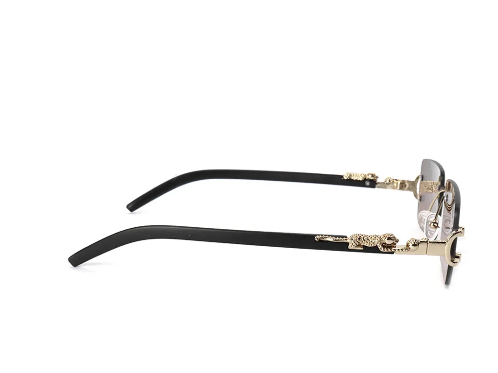 Variant Image 2